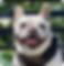 Untitled.png