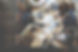 f21d0d842e.jpg