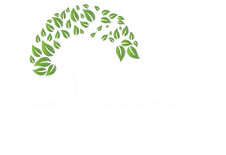 logo 1.png
