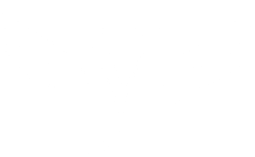 y.png