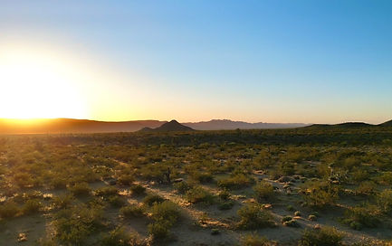 Land Mining _edited_edited_edited_edited