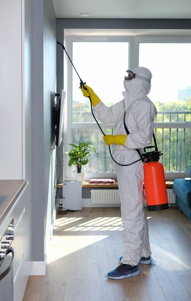 man-protective-suit-treating-with-disinfectant-flat-how-get-rid-mold-apartments-concept_15