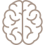 brain icon