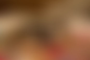 Pet Bereavement: The Traumatic Loss of my Family Cat