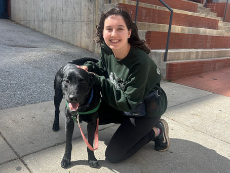 The Working Dog and His Foster Mom