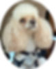 Bridgett Compass Key Service Dog Training Client Story