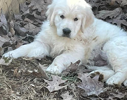 329715697_1647682999003445_86835851197486653_n_edited