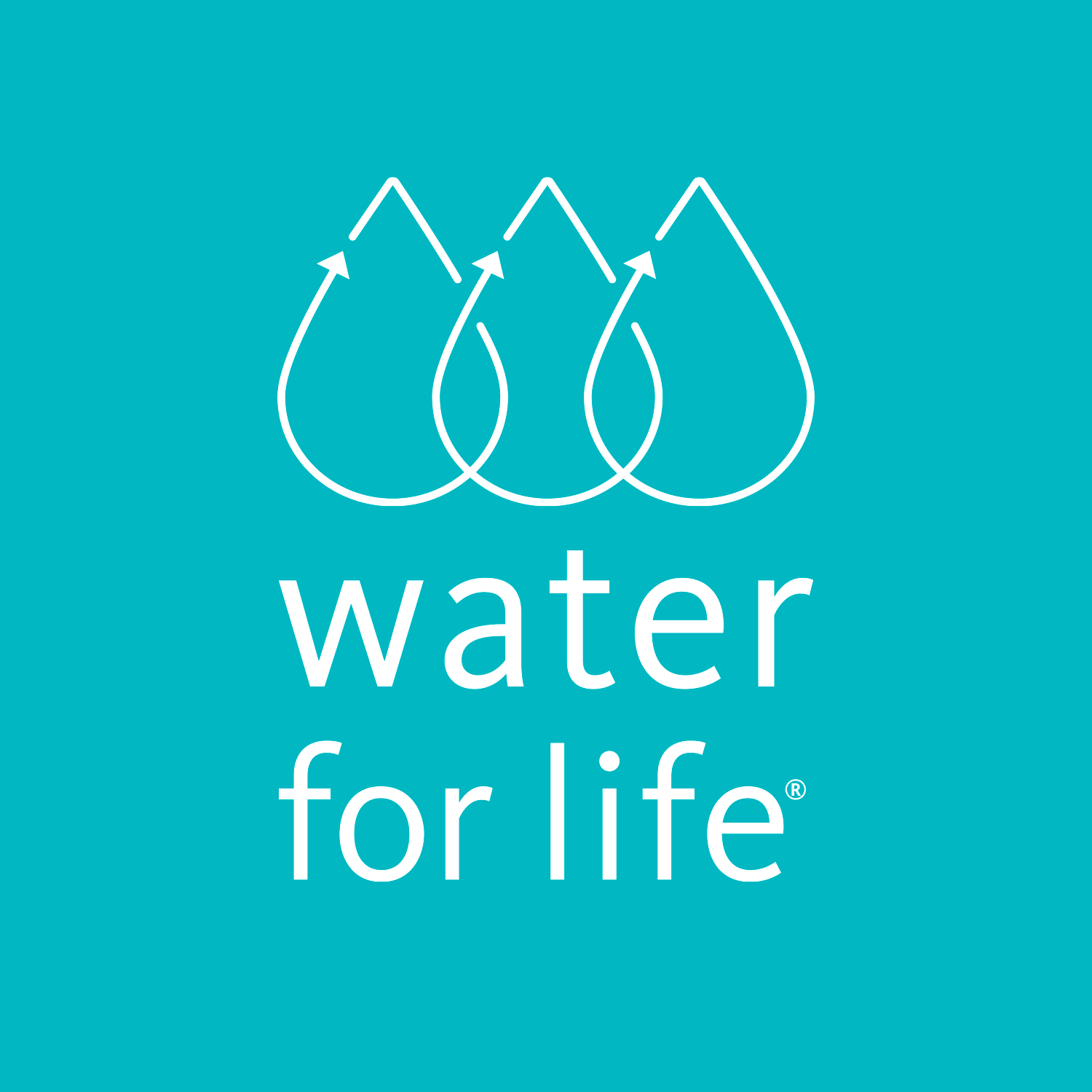 WFL_StackedLogo2_Animated.gif