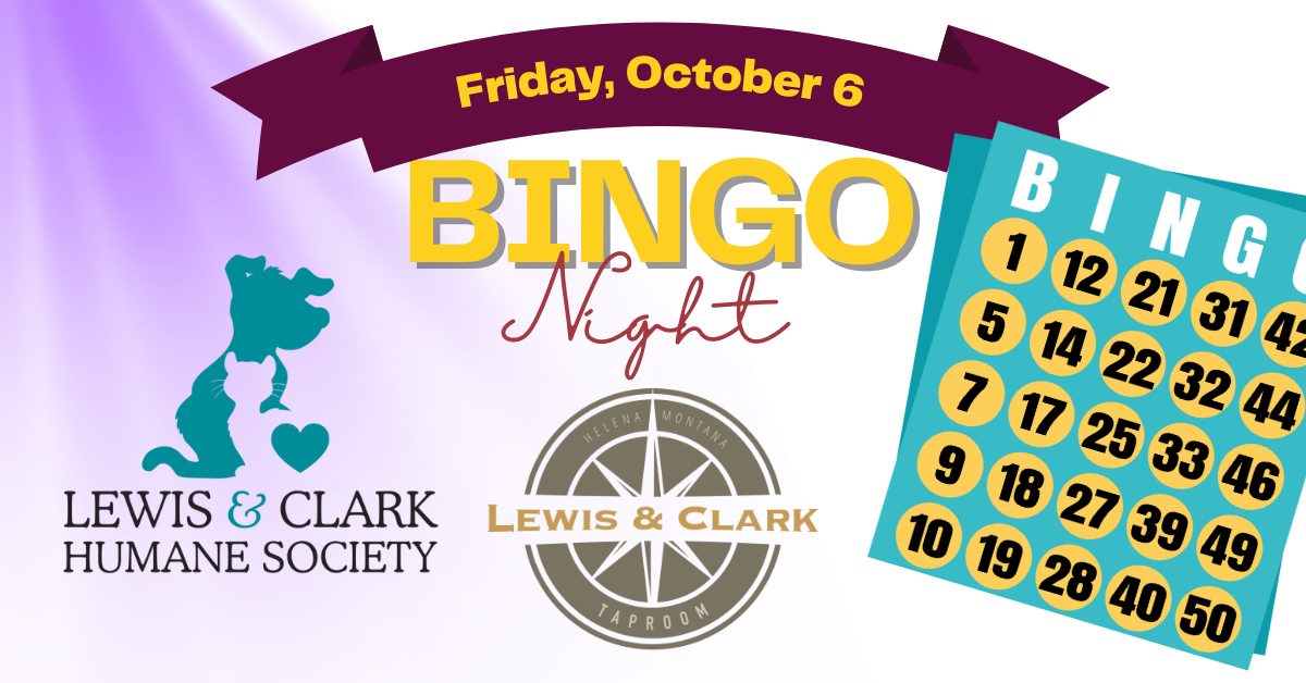 BINGO with the Lewis & Clark Humane Society Tap Room