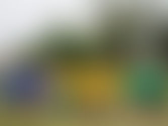 ДЕНЬ ФІЗИЧНОЇ КУЛЬТУРИ І СПОРТУ