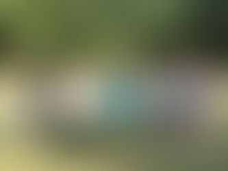 ДЕНЬ ЗДОРОВ'Я. ЗА ЗДОРОВ'ЯМ - ДО ЛІСУ!