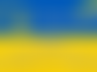 "Україна соборна. Разом до перемоги!”