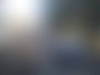 ДЕНЬ ВИЗВОЛЕННЯ ДОНБАСУ