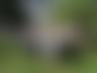 ФЛЕШМОБ «З УКРАЇНОЮ В СЕРЦІ»