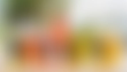 沉醉於意大利夏日口感！Sanpellegrino解渴氣泡果汁