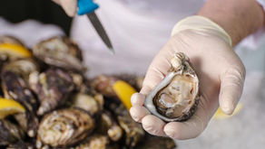 南澳美食唯港薈期間限定登場!無限任食即開南澳哥芬灣太平洋生蠔/南澳黑安格斯 M4+牛