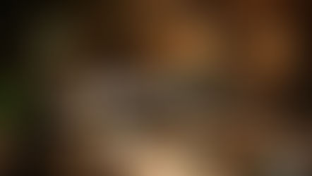 中環美食|餐飲集團 Hidden Gem Restaurants 全新力作 全新 Punjab Warriors 印度扒房新風格