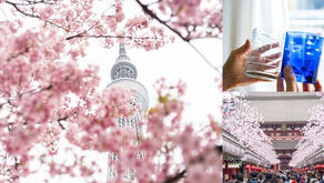 櫻花季暢遊押上、淺草區域 東京晴空塔特別推出優惠套票