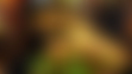 中環美食｜Servo 全新分享式晚市套餐 點燃聚餐氣氛