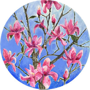 Magnolias. Sydney. 50 cm