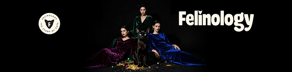 wix-banner-1118x277-v4.png