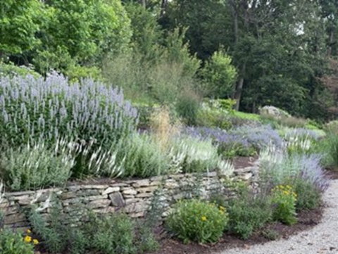 5 Life Lessons Learned at the Bird Feeder: Preparation is Everything.