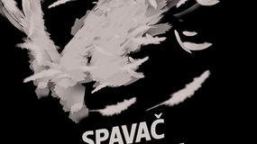 Biljana Gabrić o knjizi ''Spavač u smetu'' Marlene van Niekerk