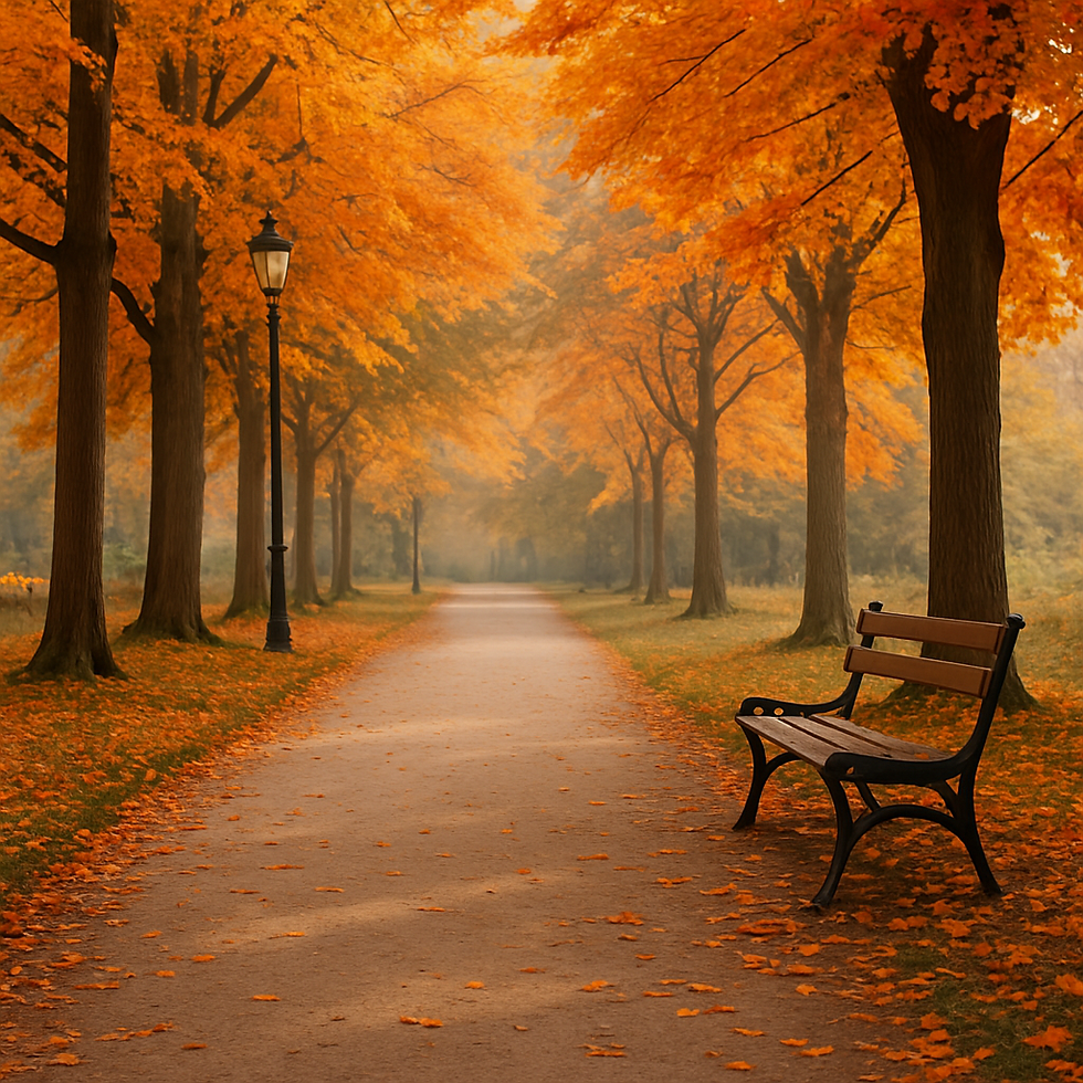 가을 바람이 불기 시작하면유난히 산책이 더 잘 맞는 계절이 온다.걷기만 해도 머리가 맑아지는 느낌,생각이 정리되는 느낌이 드는 이유는단순히 ‘기분 탓’이 아니다.