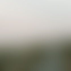 Coastal wooden walking path on foggy day