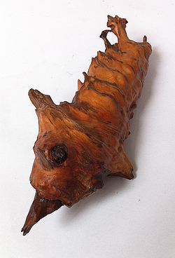 New, natural shape Raja Kayu