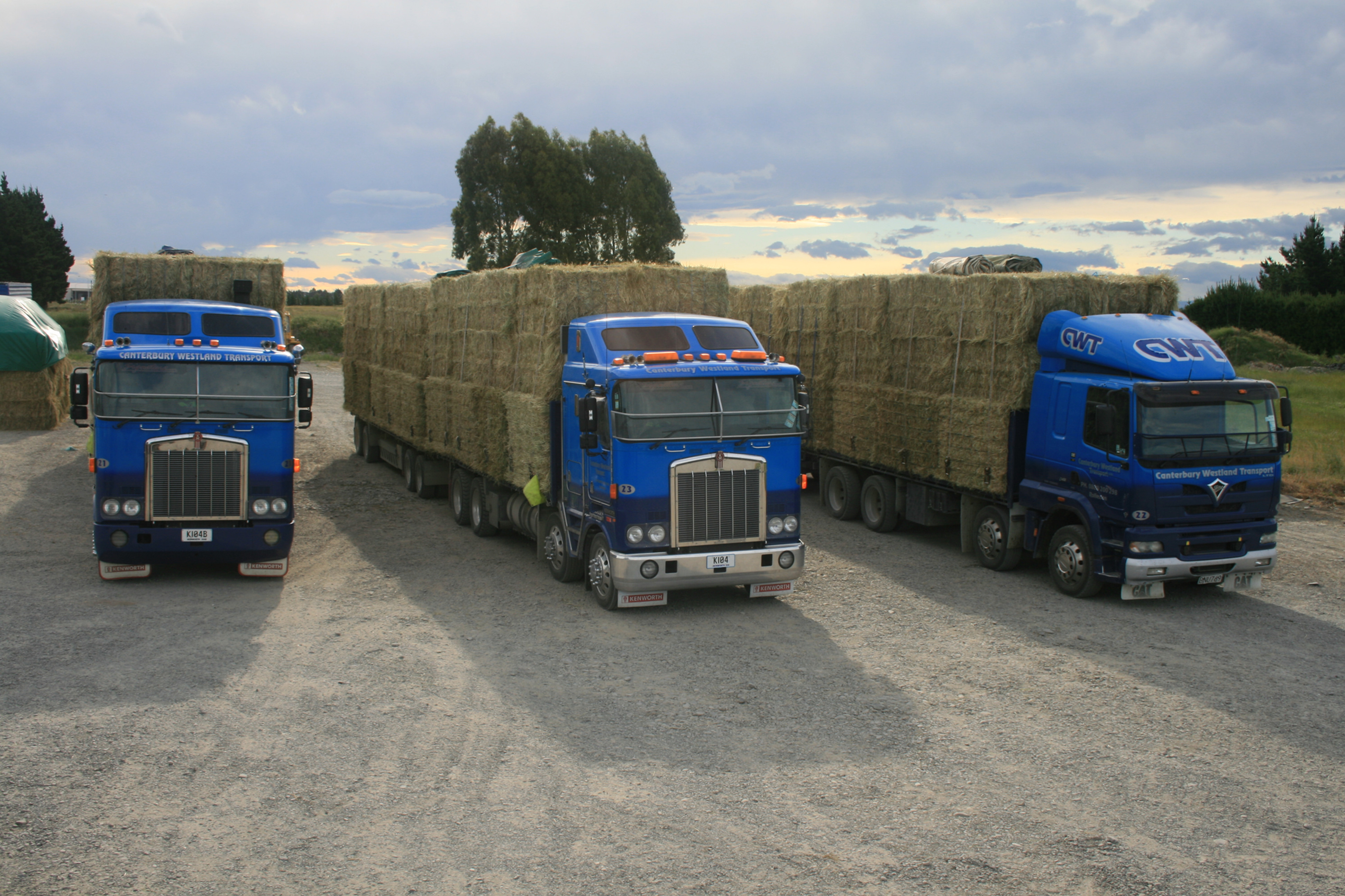Medium Bales