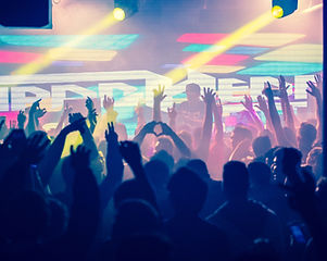 Concert Crowd