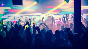Concert Crowd
