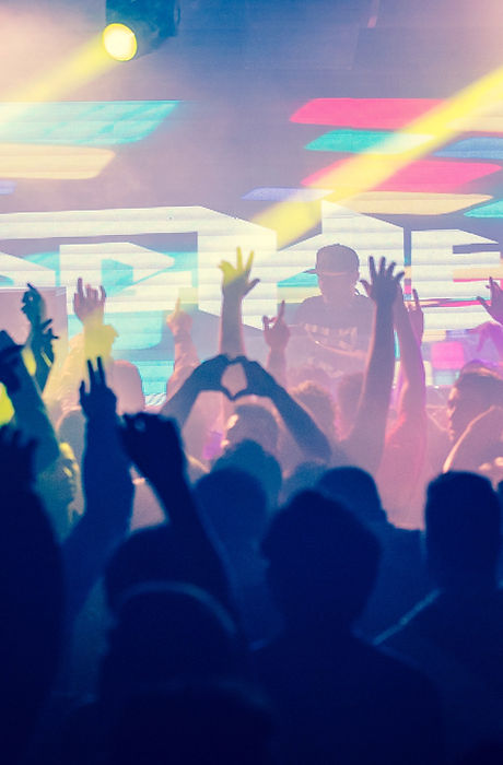 Concert Crowd