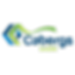 cabergs