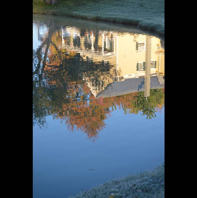 House Reflection