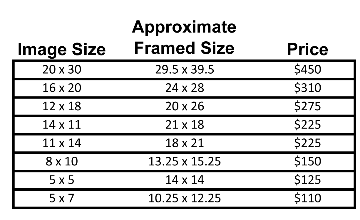 Price-List.gif