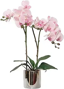 Real Touch Faux Orchids