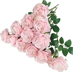 12 Pcs Light Pink Roses