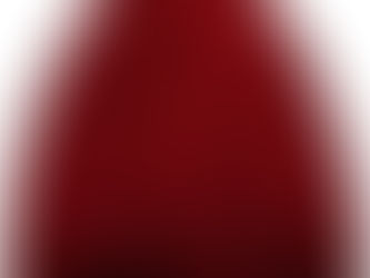 3 Gorgeous Burgundy Flower Girl Dresses Party Dress With Train| Budget Amazon Find