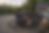 NTR 010.png