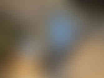 Student Accommodation Project with Astralux 3000 Roller Blinds and Performance Blackout Fabric, plus SIlent Gliss 6010 Wave Track and Astralux Sheer Curtains