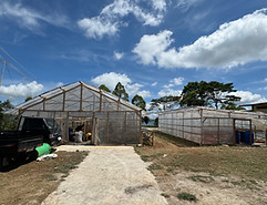 Storage of Coffee Beans
