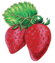 strawberry.png