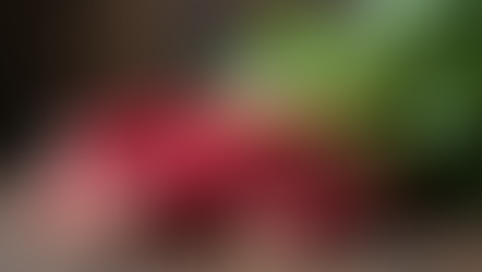 The Unique Flavor of Rhubarb Jam