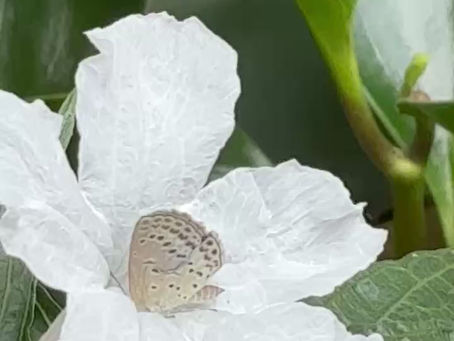 10/05 (一) 瑜伽是生活的態度