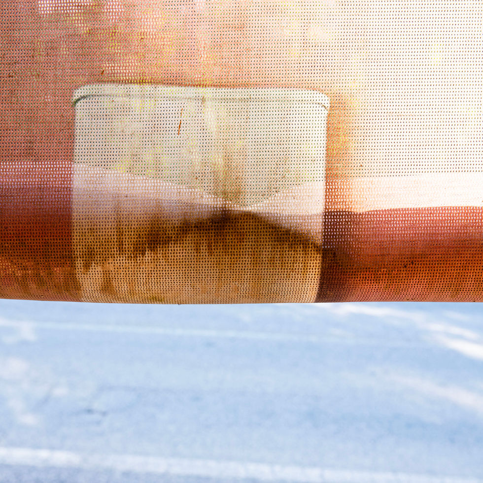 Filme queimado, 2024