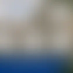 How virtual CFO solutions can help your business grow