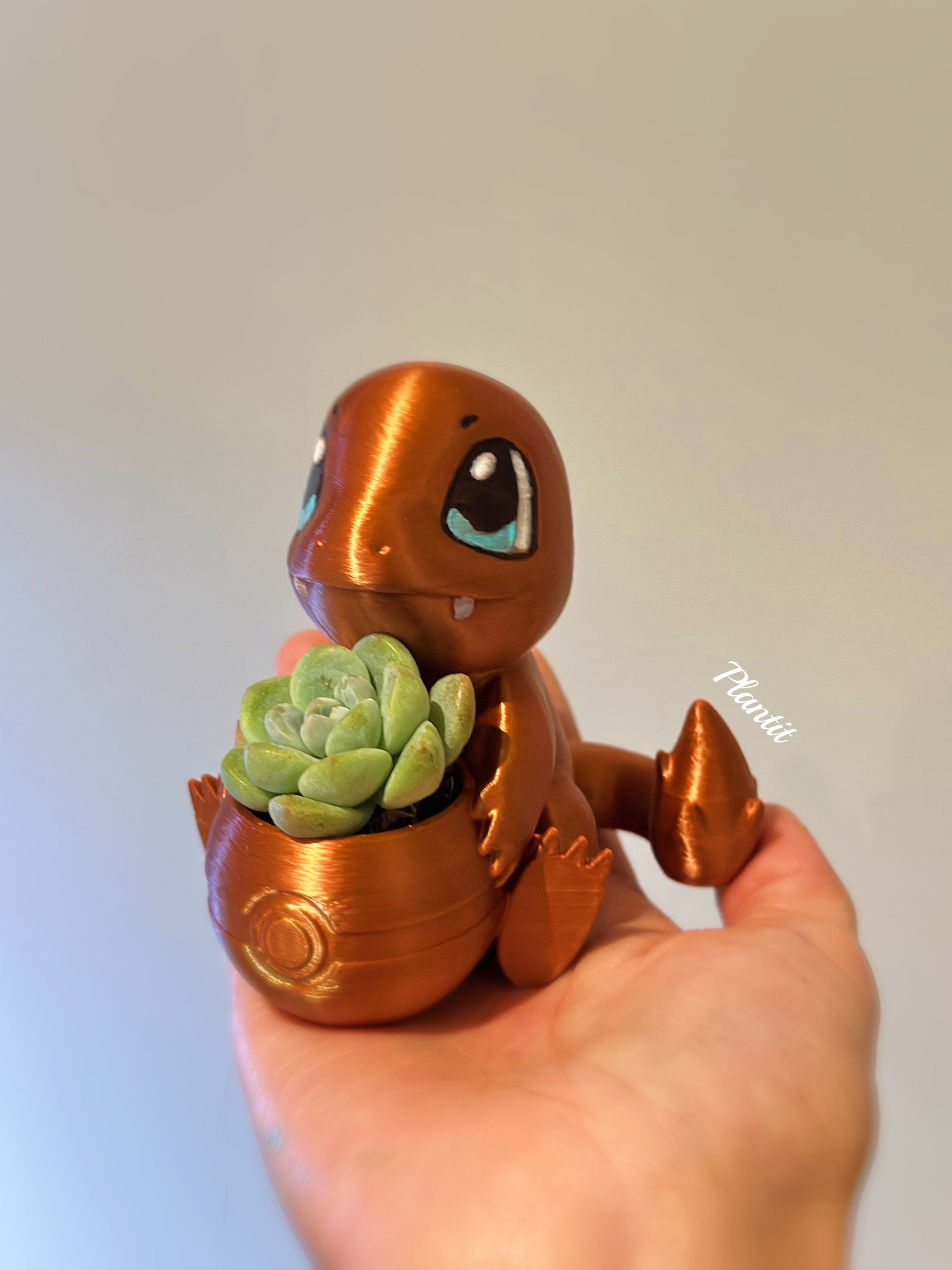Pokemon Charmander planter 