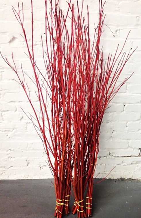 red twig brick wall 3.jpg